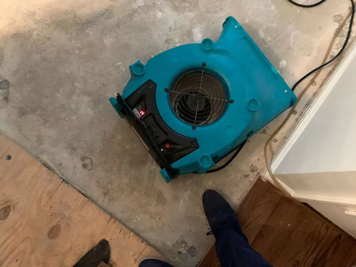 Air mover drying subfloor during Commercial Water Damage Restoration in Alpine