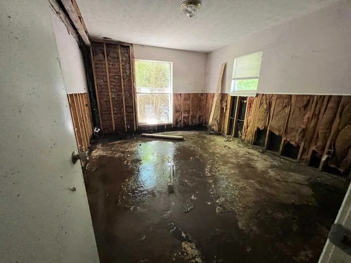 Water Damage Restoration services in Alpine, TX